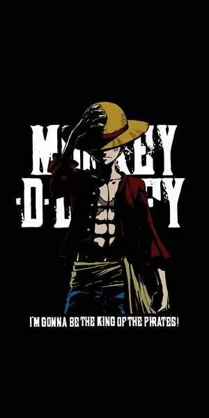 Capa de One Piece